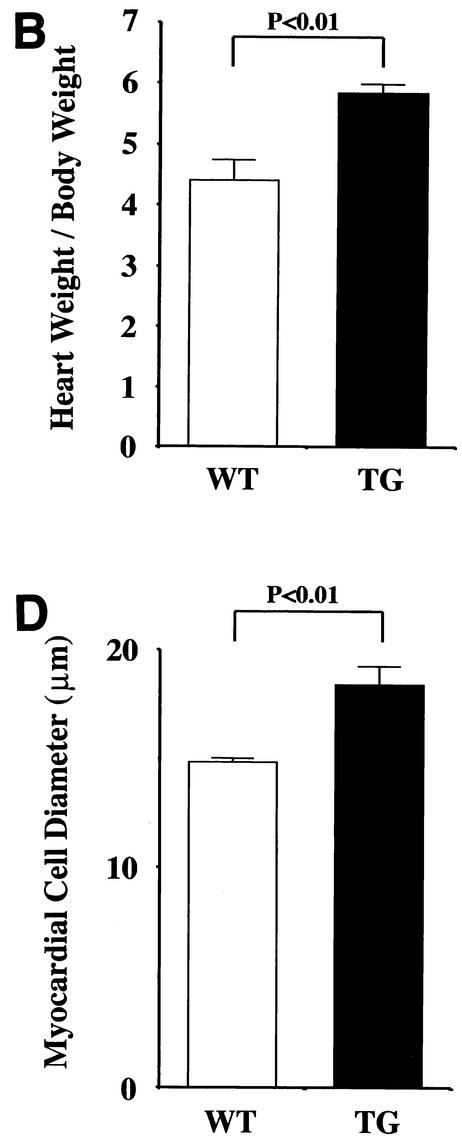 FIG. 8.