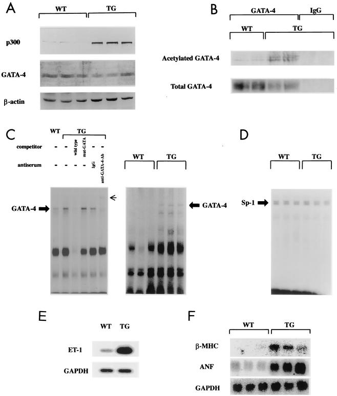 FIG. 7.