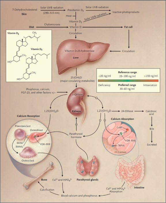 Figure 1.