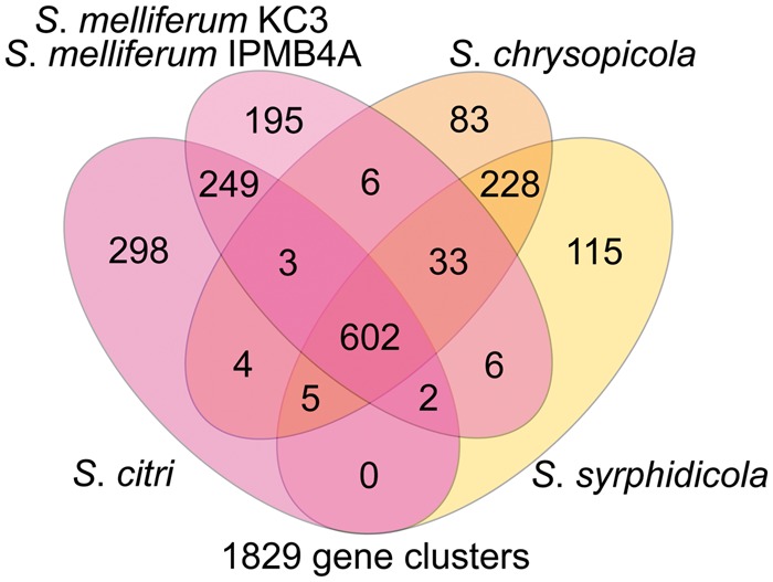 Fig. 4.—