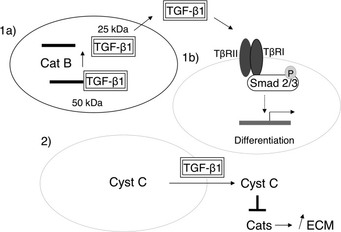 FIGURE 9.