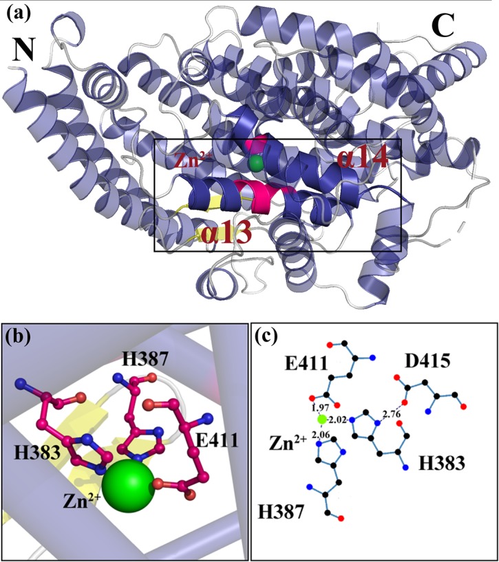 Fig 1