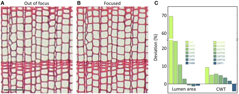 Figure 7