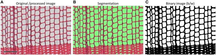 Figure 10