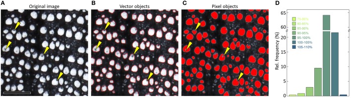 Figure 11