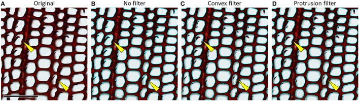 Figure 12