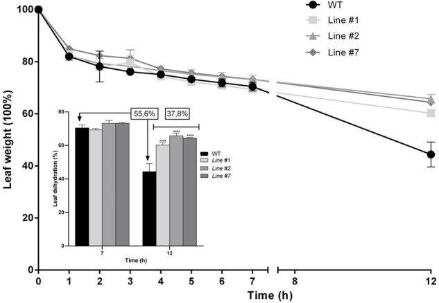 FIGURE 7