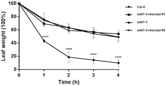 FIGURE 5