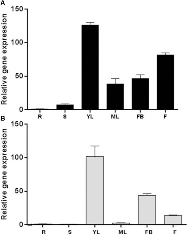 FIGURE 2