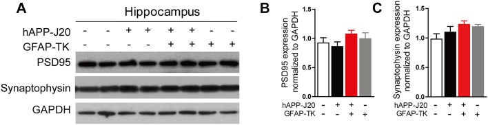 Fig. 7