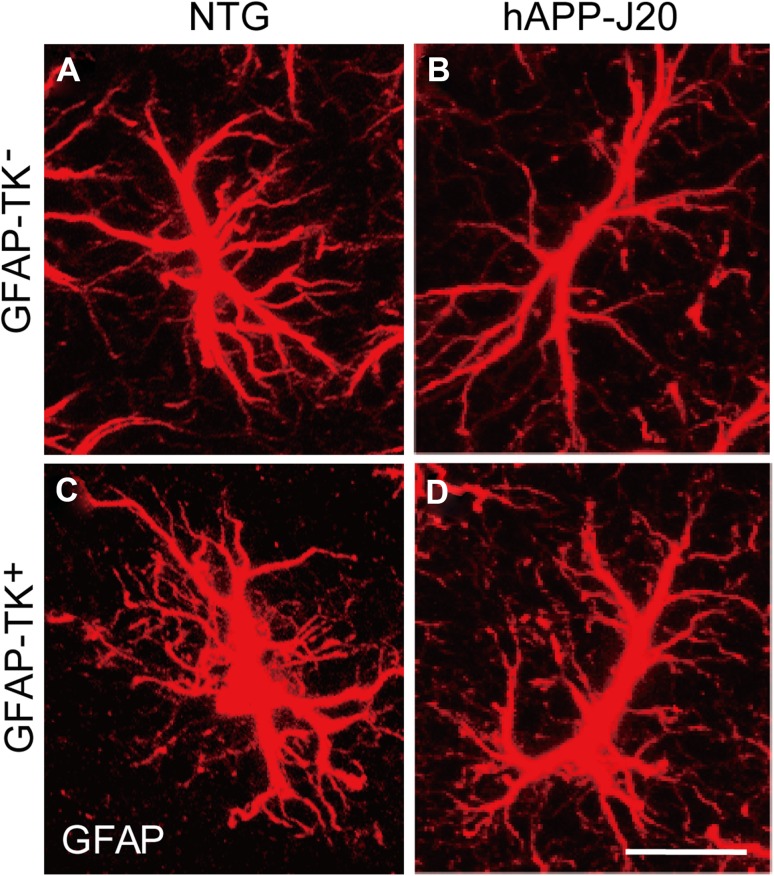 Fig. 4