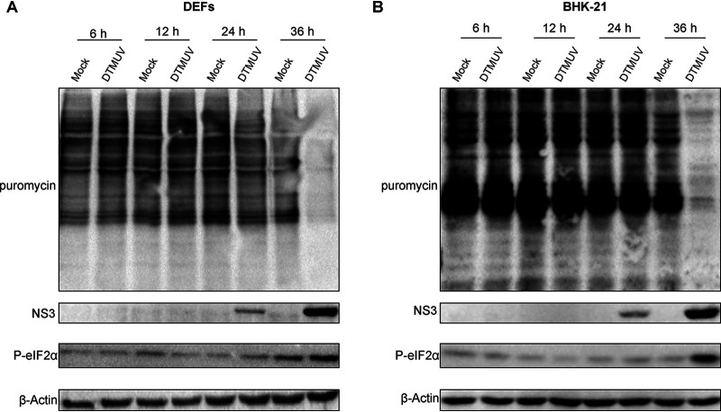 FIG 1