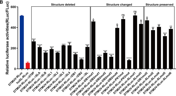 FIG 6