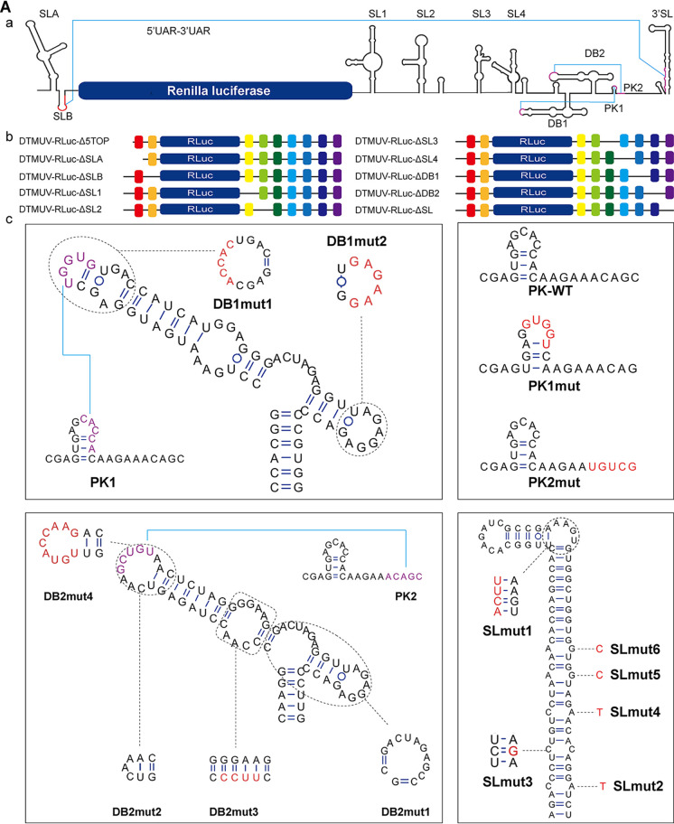 FIG 6