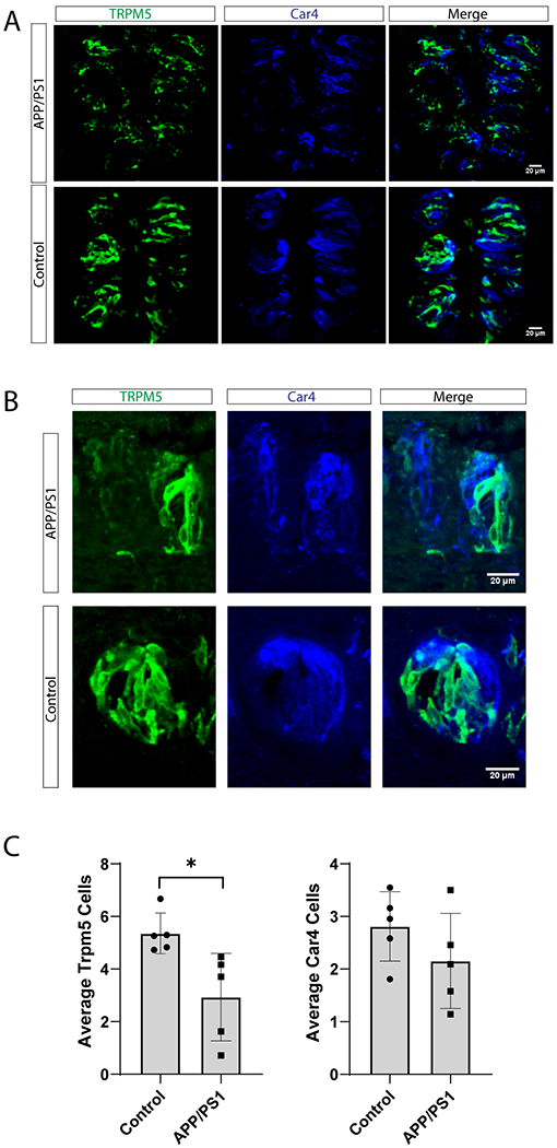 Figure 2: