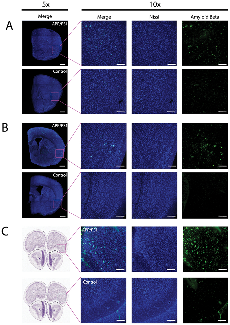 Figure 4: