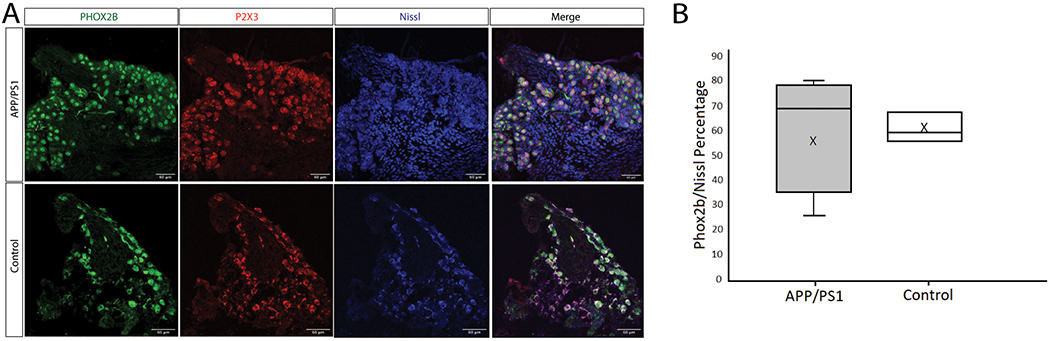 Figure 3: