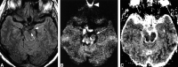 <sc>fig</sc> 3.
