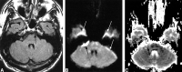 <sc>fig</sc> 4.
