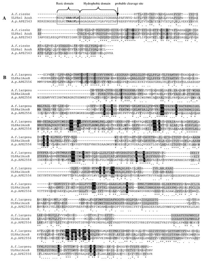 FIG.3.