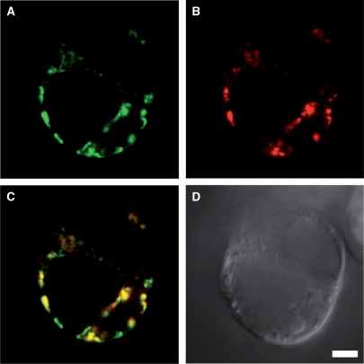 Fig. 4