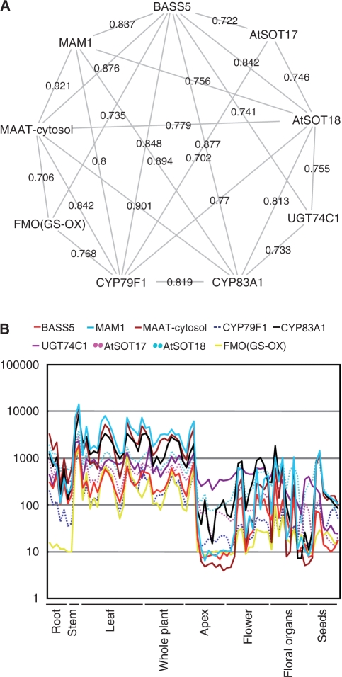 Fig. 2