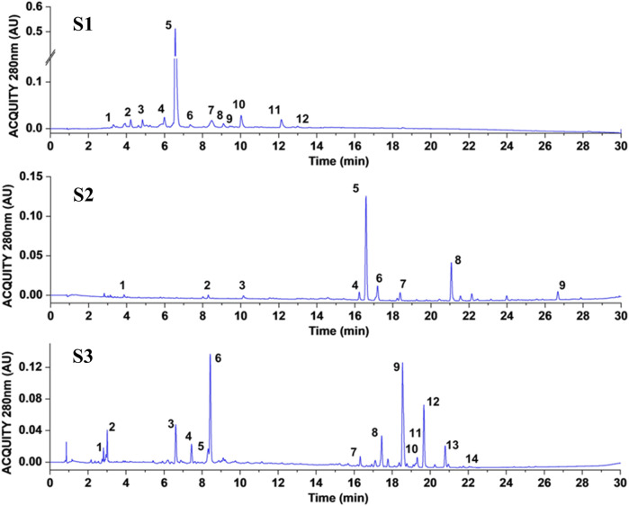 FIGURE 2