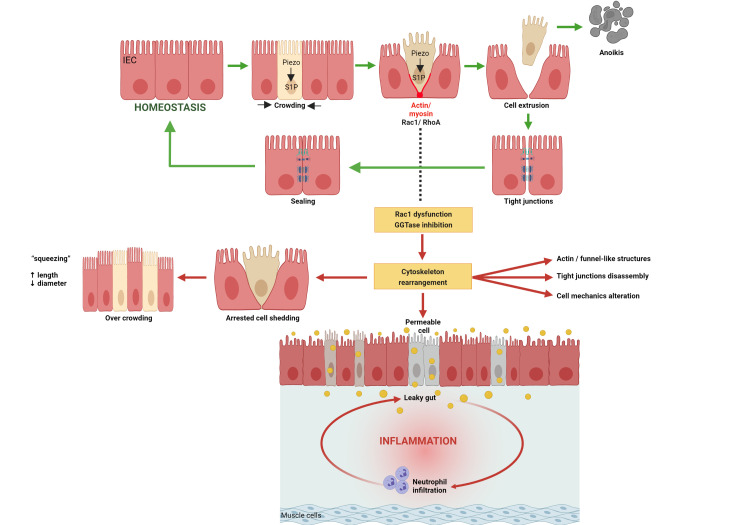 Figure 14