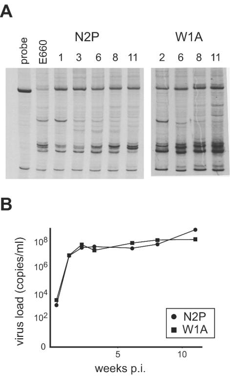 FIG. 8.