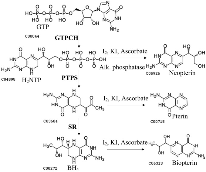 Fig. 1. 