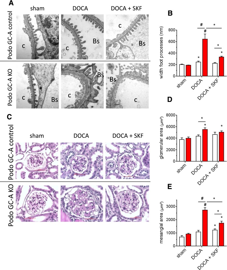 Figure 12.