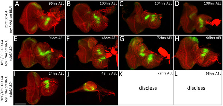 Fig. 10.