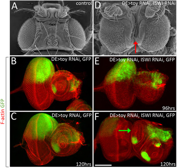 Fig. 7.