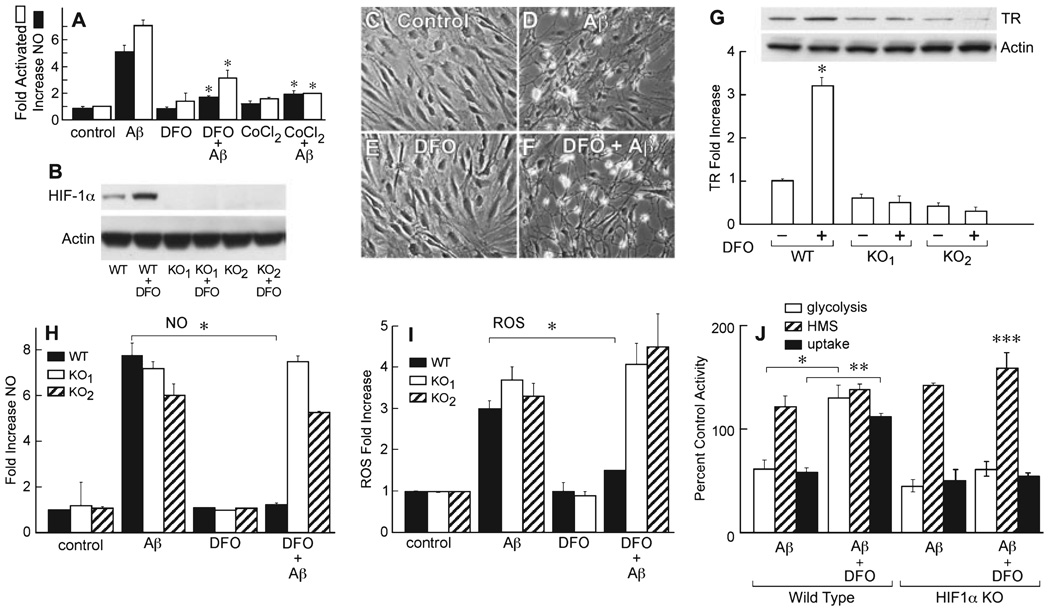 FIG.3