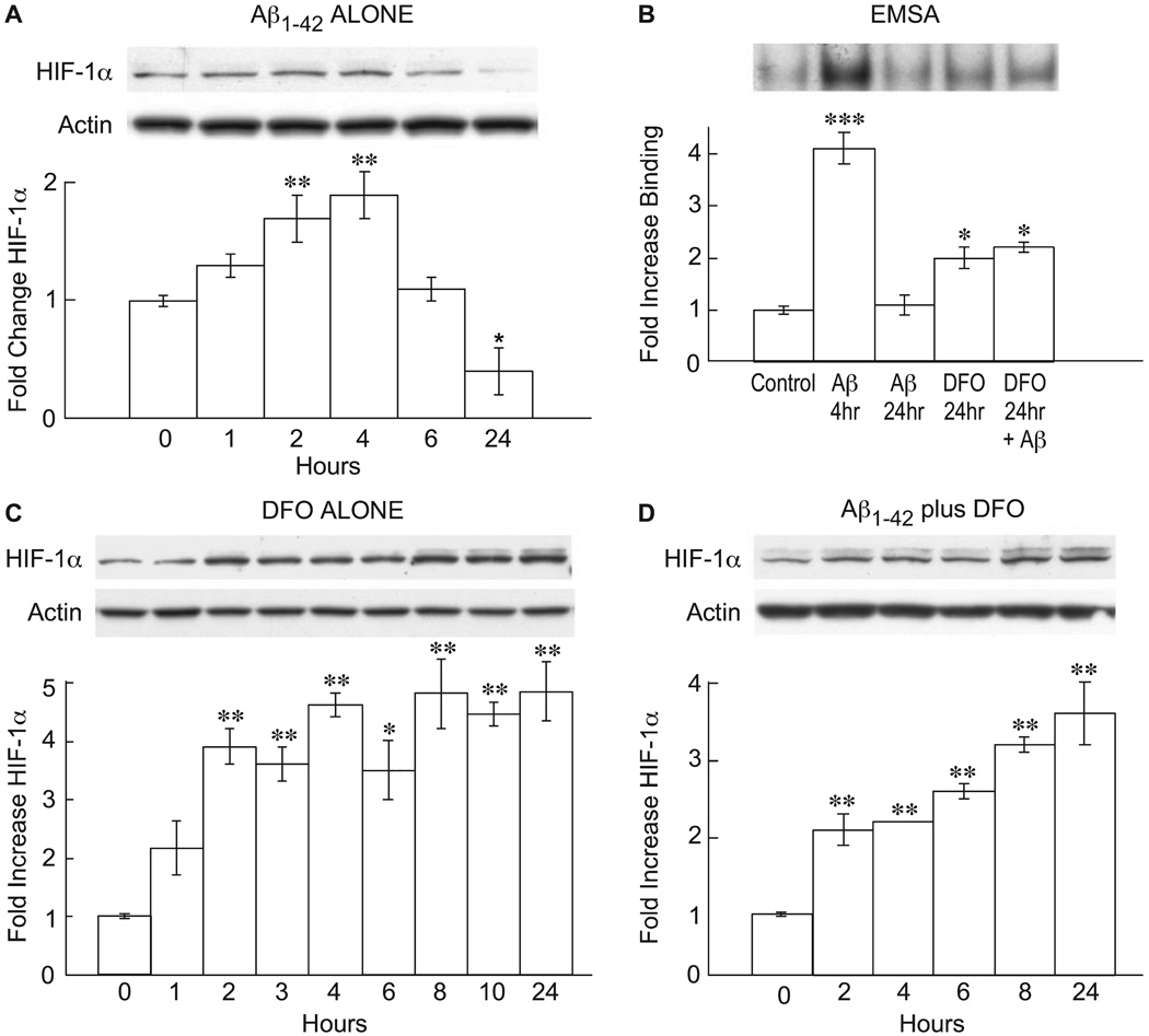 FIG.2