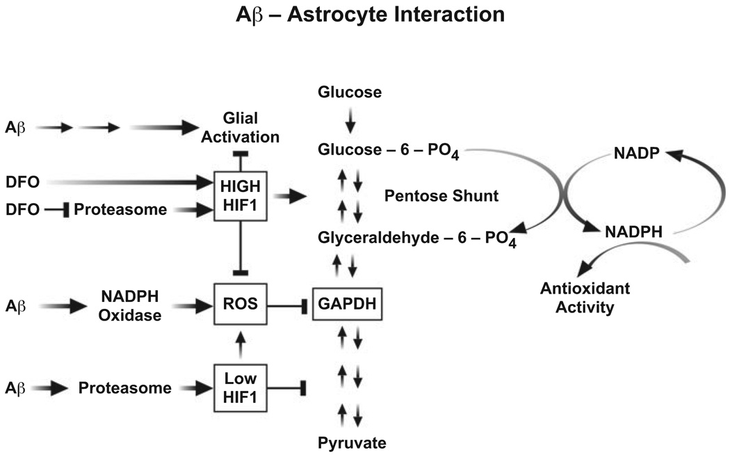 FIG.6