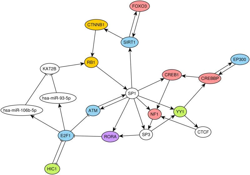 Fig 3