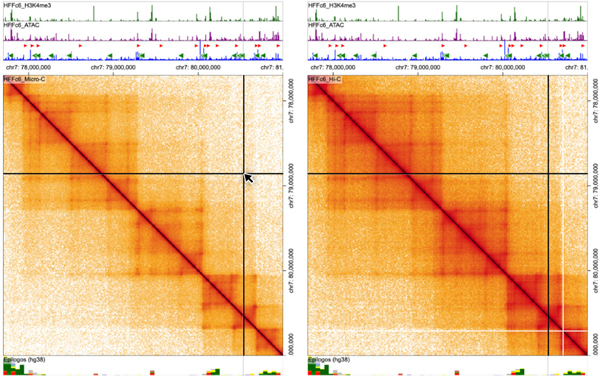 Fig. 12.