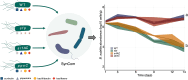 Graphical Abstract
