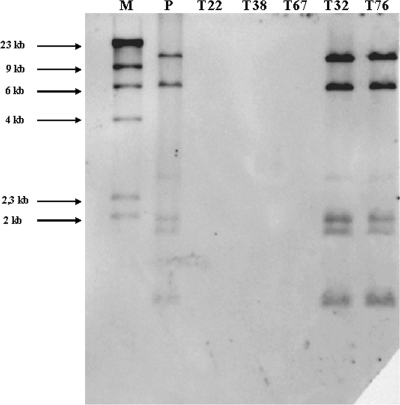 FIG. 6.