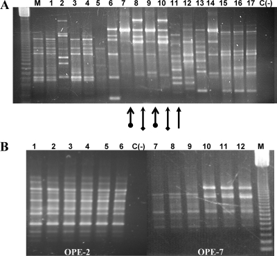 FIG. 2.