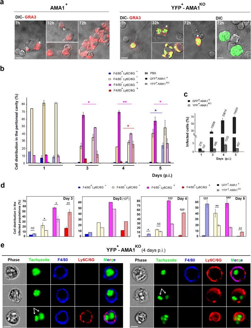 FIG 3