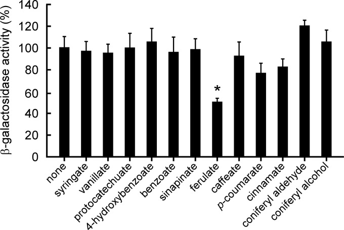 FIG 6