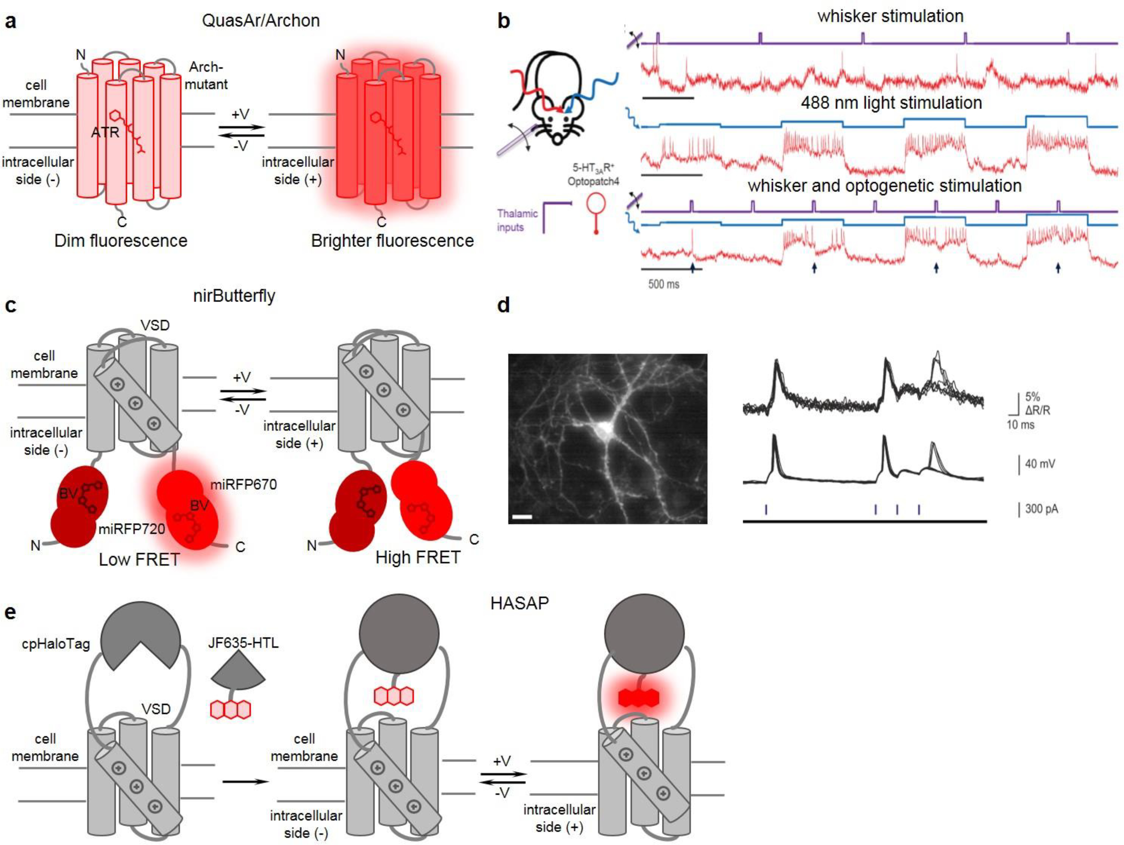 Figure 2.