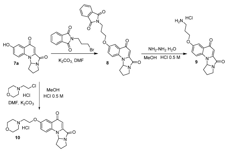 Scheme 2