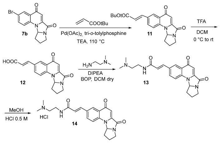 Scheme 3