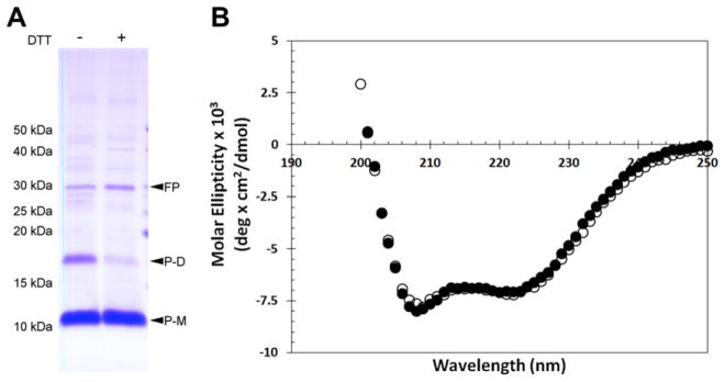 Fig. 5