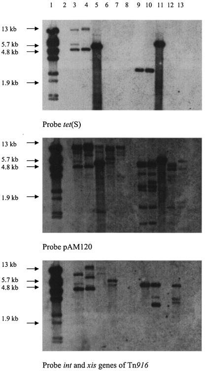 FIG. 2.