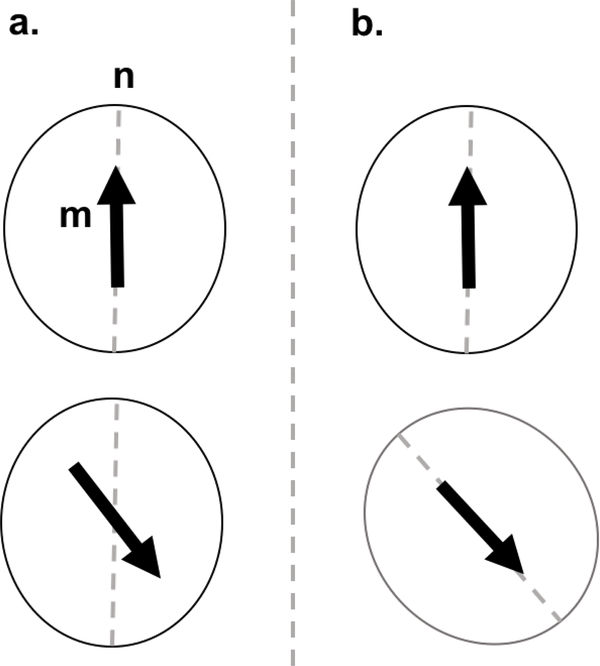 Figure 5: