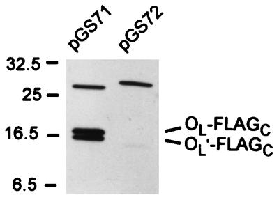 FIG. 6